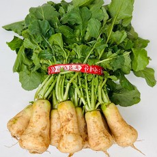 농부곳간 갓 수확한 초롱무 총각무 알타리무, 1개, 알타리무 4단 10kg