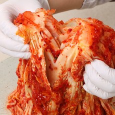 더식탐 365생포기 시원한 김치 HACCP 인증(중국산), 5kg, 1개