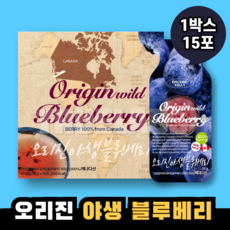 오리진 캐나다 야생 블루베리, 1박스, 450g