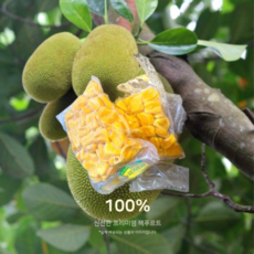 [씨손질완료]새콤달콤한 과육 가득 프리미엄 잭푸르트, 1박스, 잭프루트 2kg