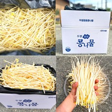 [당일출발] 머리딴 두절 일자 찜용 콩나물 4kg, 1개