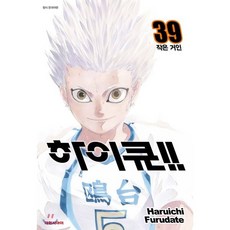 하이큐!! 39 : 작은 거인, 대원, [만화] 하이큐