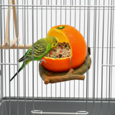 데이리즘 조류 앵무새 모이통 횃대, 오렌지, 1개