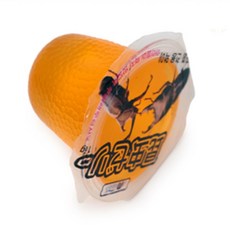 제이일 애완곤충용 젤리장수풍뎅이 사슴벌레용 장수풍뎅이키우기