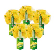 피오디 레몬즙 캡슐 48ml x 5개 / 하이볼 이탈리아산