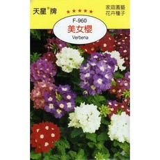 天星牌美女櫻 Verbena 種子 (F-960)【野菜部屋】, 1包