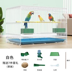 조류 철제 새장 닭 병아리 미니 망 둥지 메추리 햄스터 모이 앵무새 사료 통, 화이트'라지사이즈50*33*33(사은품7종), 1개