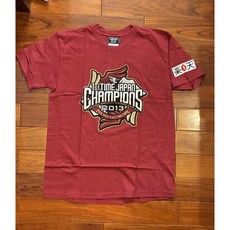 日本職棒 東北樂天金鷲 2013 初次日本一/冠軍 紀念上衣 M (日職 NPB 棒球 棒壘 優勝 短T), 1個