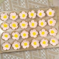 대형 벚꽃 초콜릿 4cm 케이크 디저트 데코 장식 48개입, 옵션 01