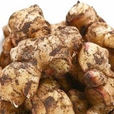 국내산 영주 봉화 안동 햇 흙 생강 특품 1kg, 1, 1개