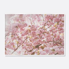 스웨리움 미드센츄리 모던 감성 사진 인테리어 포스터 액자 황금 잎 벚꽃나무 가로형, A4 (210 x 297 mm), 포스터만 구입