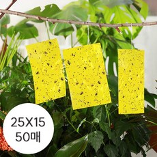 노란끈끈이트랩 양면 황색 종이트랩 15 X 25 50 매, 1525g, 1개