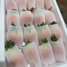 [새벽수확 아침발송] 딸기 논산 설향 생딸기 산지직송 고당도 800g내외, 1세트, [VIP]킹스베리500g내외(한알당42g이상)