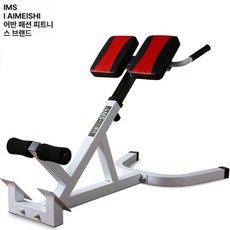 헬스장 백익스텐션 기구 암컬머신 복합헬스머신 홈짐 디랙스 가정용 로만체어, 기본 색상