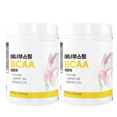 에너부스팅 BCAA 헬스 단백질보충제 레몬맛, 2개, 300g