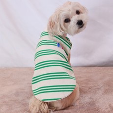 도기스타 소형견 중형견 대형견 민소매 명품 강아지 티셔츠, 그린, 1개