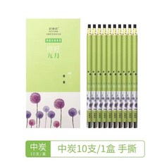 素描鉛筆 尼奧尼拉線炭筆 九月手撕炭筆 美術專用素描速寫軟碳 中炭鉛筆 N8207, N8207中炭, 1個, N8207中炭