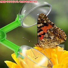 매미 풍뎅이 나비잡기 가위집게 14cm 곤충채집집게, 연두