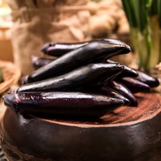 국내산 싱싱 단단한 직접선별 제철 가지 특품, 1박스, 1kg