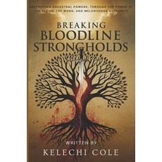 (영문도서)Breaking Bloodline Strongholds: Destroying Ancestral Powers Through the Power o... Paperback, Independently Published, English, 9798293045952