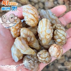 생오만둥이 생횟감 육수용 진동 고현미더덕마을 당일배송 덤+, 1개, 1kg