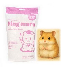 핑마루 탑쉐이빙 아스펜 베딩 3cm, 1kg, 1개