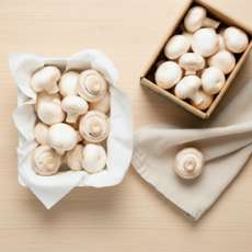 [하진이네] 산지직송 국내산 무농약 양송이버섯, 1박스, 못난이 500g