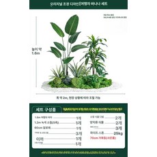 인조 미니정원 소품 플랜테리어 조화나무 조경 장식용, 높이 여행자 난디나 소형 세트