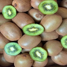 노씨고집 산지직송 국산 참다래 그린키위, 1개, 대과 3kg