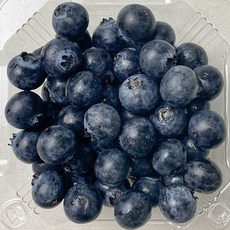 블루베리 생블루베리 125g 2팩