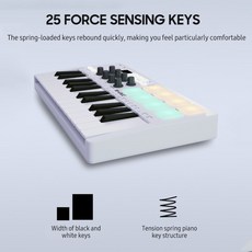 M-VAVE 휴대용 MIDI 25 키 USB 컨트롤러 8 개의 백라이트 드럼 패드 노브 RGB 음악, 1개
