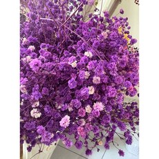 邑朵 現貨 滿天星 大束裝 永生滿天星 不凋滿天星 永生花 捧花胸花 桌花花束 不凋花 手作DIY 微景觀, 紫150克