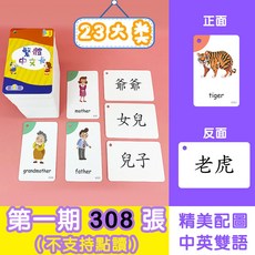 繁體漢字識字卡 啟懞繁體中文識字卡片 兒童認字卡繁體 繁體字咭, 詞語卡 第一期308張+環 無圖版