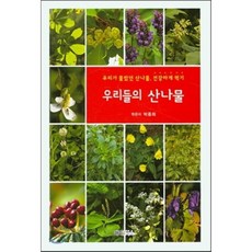 우리들의 산나물:우리가 몰랐던 산나물 건강하게 먹기, 해피&북스, 박종희 저
