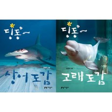 [지성사] 딩동 상어 도감 + 고래 도감 세트 (전2권), 출판사:지성사, 저자:김현우