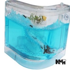 개미집 개미관찰하기, 개미집관찰-ㄱ자형