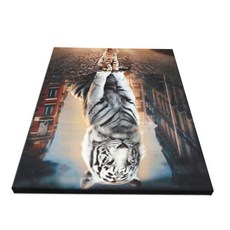 Shen Xiao She 26-cf-1311, 1개