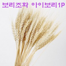 보리조화 황금보리 가을 조화 갈대 밀 건화 아이보리 1PCS (1개 가격입니다.^^)