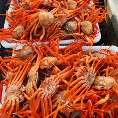 포항 연지 홍게 3kg 살 많은 자숙 홍게 국 탕 찜 다용도