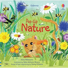 팝업 네이처: 를 위한 야생동물에 관한 멋진 팝업북 5-7세, Board book