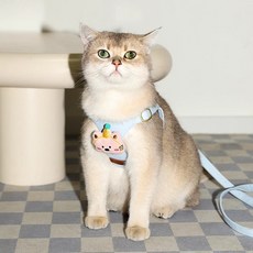 큐트스마트 반려동물용 하네스 + 리드줄 1.5m, 블루, 1개