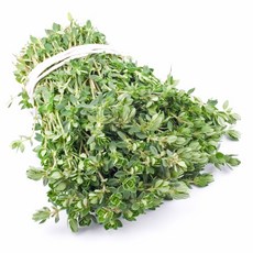 레몬타임 50g, 1개