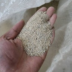 P老闆水族 珊瑚砂 水族底砂 穩定PH, 1個, 小-20KG裝(正負2kg)