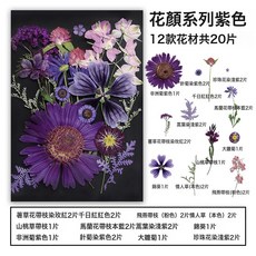 乾花壓花裝飾植物標本畫花瓣材料包手工diy相框滴膠押花臺燈花材, 花顏系列紫色:1個, 1個