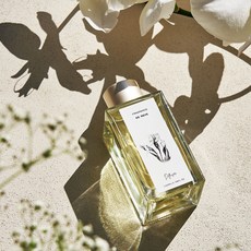 로더톰버 실내 인테리어 디퓨저 방향제 100ml, 리에프(RE:F), 1개