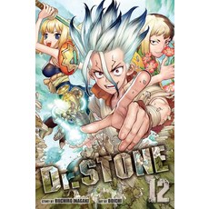 스톤 박사 제12권: 페트리피케이션의 비밀, 기본