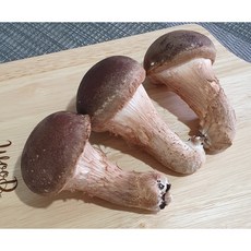 참송이버섯 고급 선물용 / 각종 선물 참송이 국내산100% 농장직영 주문제작가능, 참송이 중품