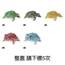 BANDAI 轉蛋 生物大圖鑑 圓眼珍珠蛙與角蛙 青蛙 圖鑑 生物 模型 公仔 全5款, 1個, 整套(金額720，下X5)2J071