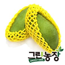 그린농장 태국 그린망고(green farm thailand green mango), 1박스, 2.5kg(8-10과)
