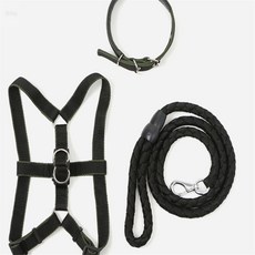 키템 로프 대형견 목줄 하네스 리드줄 세트XS 블랙 진돗개목줄